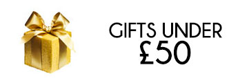 Christmas Gifts under £100