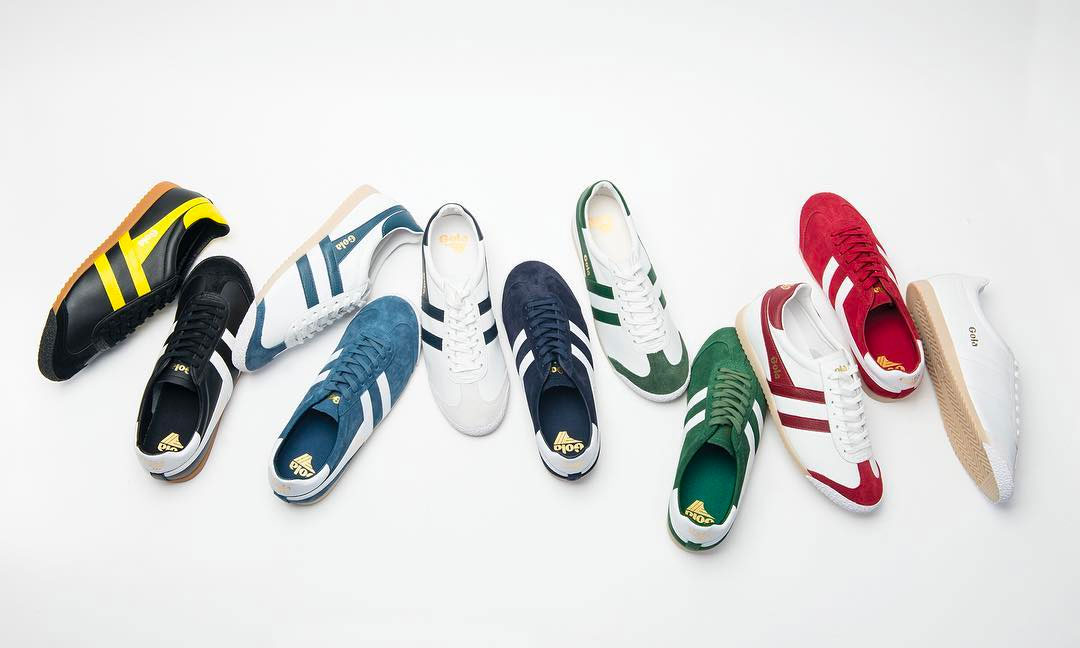 50 Years of the Gola Harrier
